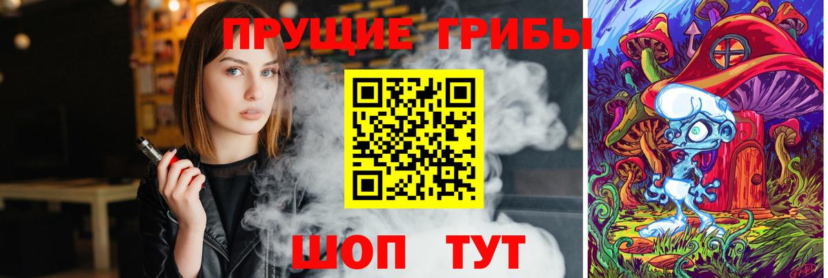 Галлюциногенные грибы Psilocybine cubensis Королёв